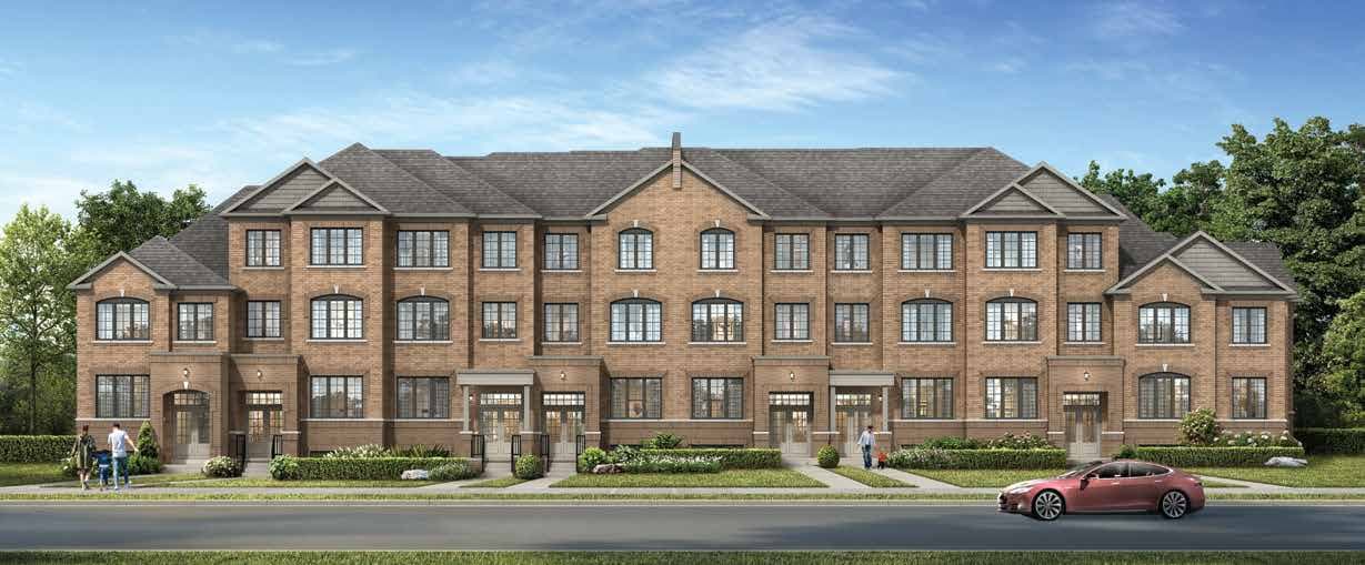 Seaton Winding Woods - Main View