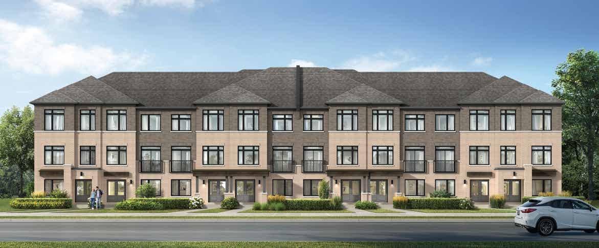 Seaton Winding Woods - View 5